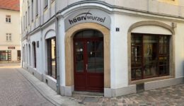 haarwurzel