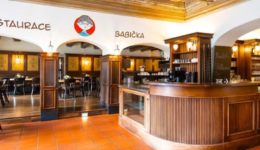 Banner1-babicka