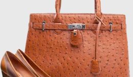 taschen