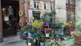 Schedretzky Blumen