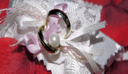 SONY DSC