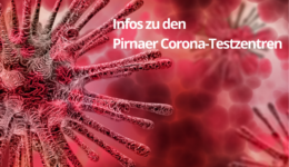 Dein Abschnittstext (11)