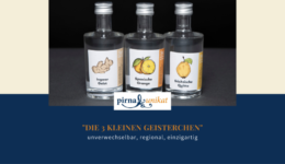 Blog_Titelbild (4)