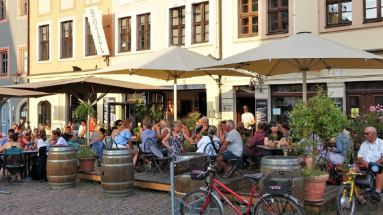 Neuanfang Blog Banner (1)