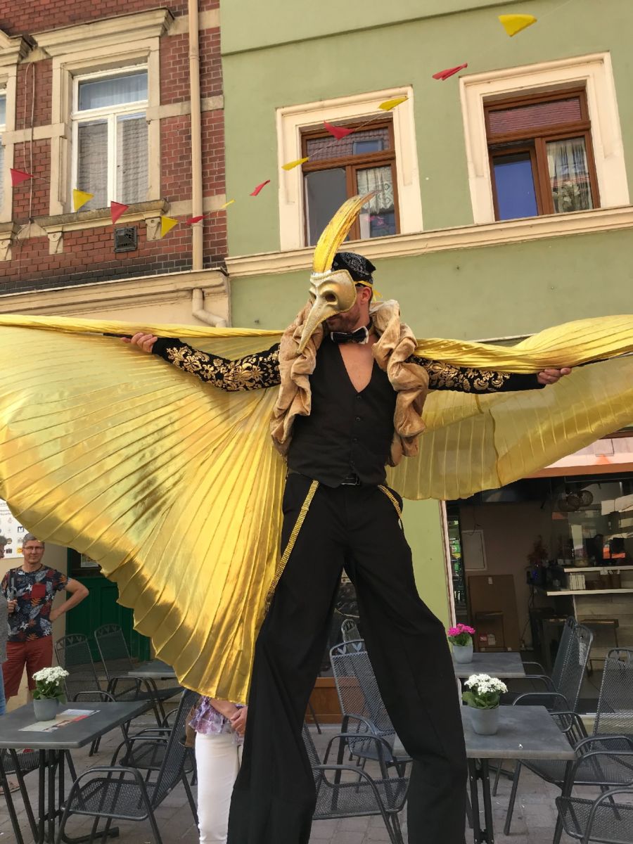 210703_pirnaerleben-1. Straßenkultursamstag (2)