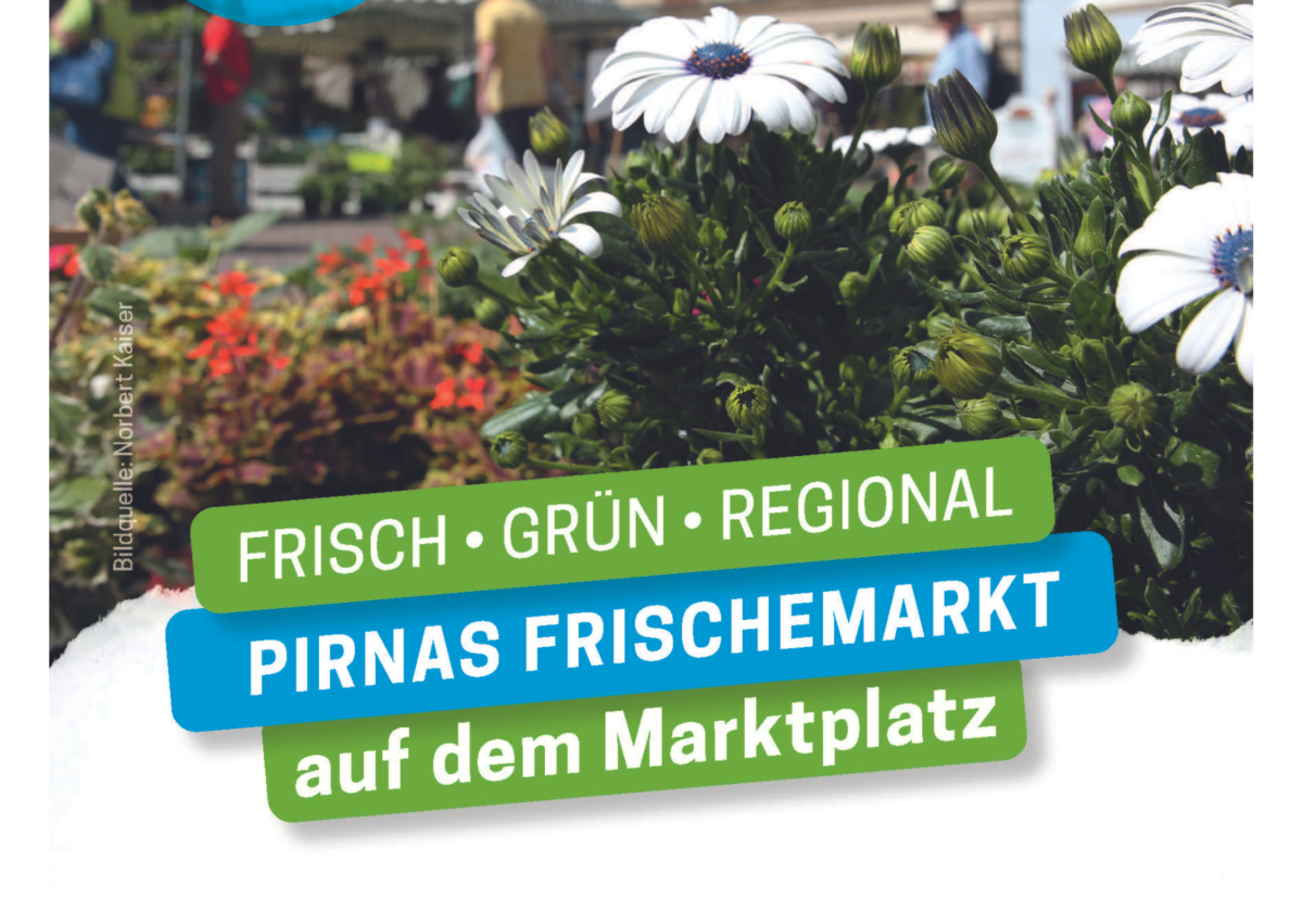 Blog Bild KiP (2)