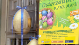 Blog Bild KiP (4)